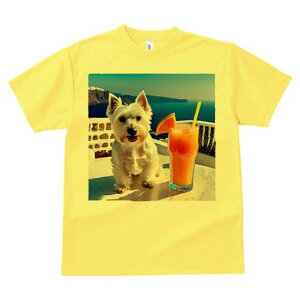 EGXgnChzCgeA TVc  j[NfUCfB[X t@  t vg lJWA 킢 lԗp Mtg I ҏ΍ W[X EGXgnC