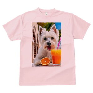 EGXgnChzCgeA TVc  j[NfUCfB[X t@  t vg lJWA 킢 lԗp Mtg I ҏ΍ IW EGXgnC