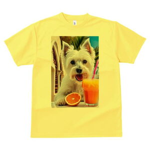 �E�G�X�g�n�C�����h�z���C�g�e���A T�V���c ���� ���j�[�N�f�U�C�����f�B�[�X ���t�@�� ���� �t�� �v�����g ��l�J�W���A�� ���킢�� �l�ԗp �M�t�g ���I �ҏ��΍� �I�����W �E�G�X�g�n�C