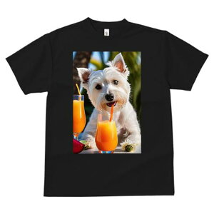 �E�G�X�g�n�C�����h�z���C�g�e���A T�V���c ���� ���j�[�N�f�U�C�����f�B�[�X ���t�@�� ���� �t�� �v�����g ��l�J�W���A�� ���킢�� �l�ԗp �M�t�g ���I �ҏ��΍� �W���[�X �E�G�X�g�n�C