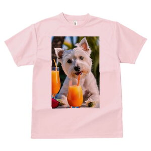 EGXgnChzCgeA TVc  j[NfUCY LbY t@  t vg lJWA 킢 lԗp Mtg I ҏ΍ W[X EGXg