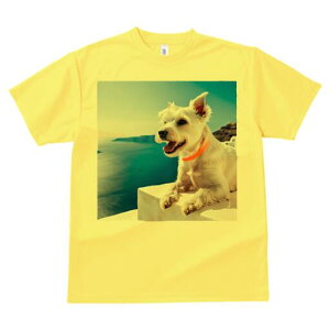 EGXgnChzCgeA TVc  j[NfUCfB[X t@  t vg lJWA 킢 lԗp Mtg I ҏ΍ C EGXgnCh