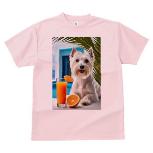 EGXgnChzCgeA TVc  j[NfUCfB[X t@  t vg lJWA 킢 lԗp Mtg I ҏ΍ IWW[X EG