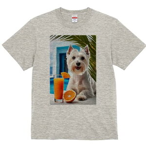 EGXgnChzCgeA TVc  j[NfUCY LbY t@  t vg lJWA 킢 lԗp Mtg I ҏ΍ IWW[X 