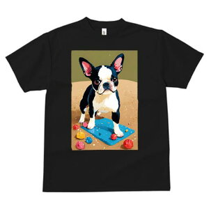 {XgeA TVc  j[NfUCfB[X t@  t vg lJWA 킢 lԗp Mtg I ҏ΍ r[` {XgeA l  }b