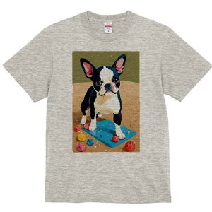 {XgeA TVc  j[NfUCfB[X t@  t vg lJWA 킢 lԗp Mtg I ҏ΍ r[` {XgeA l  }b