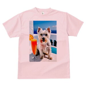 EGXgnChzCgeA TVc  j[NfUCfB[X t@  t vg lJWA 킢 lԗp Mtg I ҏ΍ IWW[X EG