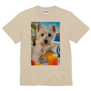 EGXgnChzCgeA TVc  j[NfUCfB[X t@  t vg lJWA 킢 lԗp Mtg I ҏ΍ ݕ EGXgnC