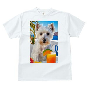 �E�G�X�g�n�C�����h�z���C�g�e���A T�V���c ���� ���j�[�N�f�U�C�����f�B�[�X ���t�@�� ���� �t�� �v�����g ��l�J�W���A�� ���킢�� �l�ԗp �M�t�g ���I �ҏ��΍� ���ݕ� �E�G�X�g�n�C��