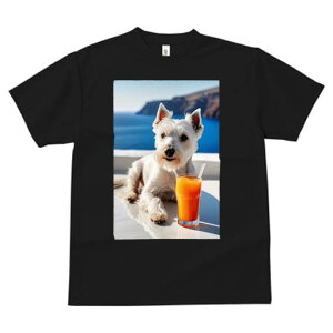 EGXgnChzCgeA TVc  j[NfUCfB[X t@  t vg lJWA 킢 lԗp Mtg I ҏ΍ W[X EGXgnC