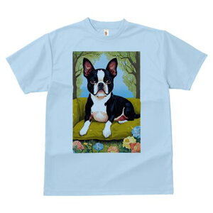 {XgeA TVc  j[NfUCfB[X t@  t vg lJWA 킢 lԗp Mtg I ҏ΍ \t@ {XgeA  