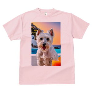 EGXgnChzCgeA TVc  j[NfUCfB[X t@  t vg lJWA 킢 lԗp Mtg I ҏ΍ C EGXgnCh