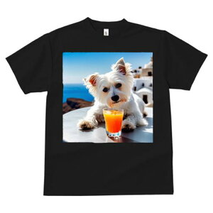 EGXgnChzCgeA TVc  j[NfUCfB[X t@  t vg lJWA 킢 lԗp Mtg I ҏ΍ W[X EGXgnC