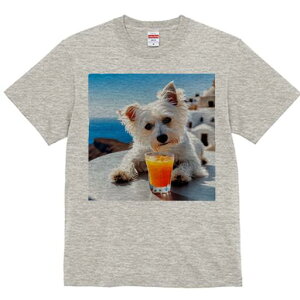 EGXgnChzCgeA TVc  j[NfUCY LbY t@  t vg lJWA 킢 lԗp Mtg I ҏ΍ W[X EGXg