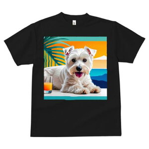 EGXgnChzCgeA TVc  j[NfUCfB[X t@  t vg lJWA 킢 lԗp Mtg I ҏ΍ W[X EGXgnC