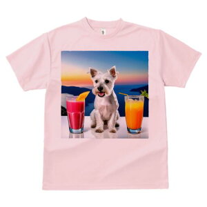 EGXgnChzCgeA TVc  j[NfUCfB[X t@  t vg lJWA 킢 lԗp Mtg I ҏ΍ ݕ EGXgnC