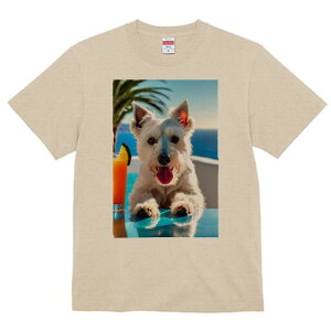 EGXgnChzCgeA TVc  j[NfUCfB[X t@  t vg lJWA 킢 lԗp Mtg I ҏ΍ ݕ EGXgnC