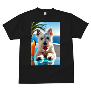 EGXgnChzCgeA TVc  j[NfUCfB[X t@  t vg lJWA 킢 lԗp Mtg I ҏ΍ ݕ EGXgnC