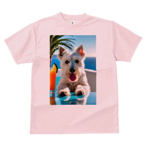 EGXgnChzCgeA TVc  j[NfUCfB[X t@  t vg lJWA 킢 lԗp Mtg I ҏ΍ ݕ EGXgnC