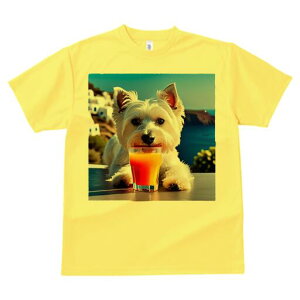 EGXgnChzCgeA TVc  j[NfUCfB[X t@  t vg lJWA 킢 lԗp Mtg I ҏ΍ W[X EGXgnC