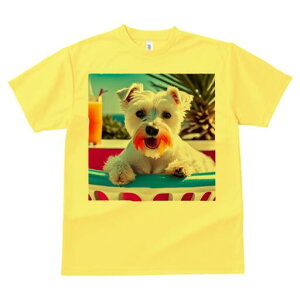 EGXgnChzCgeA TVc  j[NfUCfB[X t@  t vg lJWA 킢 lԗp Mtg I ҏ΍ W[X EGXgnC