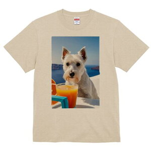 EGXgnChzCgeA TVc  j[NfUCfB[X t@  t vg lJWA 킢 lԗp Mtg I ҏ΍ W[X EGXgnC