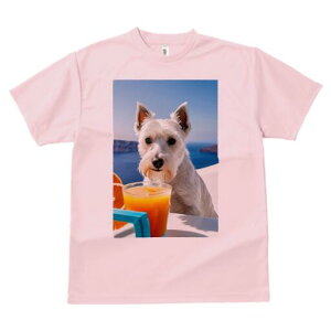 EGXgnChzCgeA TVc  j[NfUCfB[X t@  t vg lJWA 킢 lԗp Mtg I ҏ΍ W[X EGXgnC