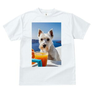 EGXgnChzCgeA TVc  j[NfUCY LbY t@  t vg lJWA 킢 lԗp Mtg I ҏ΍ W[X EGXg