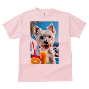 �E�G�X�g�n�C�����h�z���C�g�e���A T�V���c ���� ���j�[�N�f�U�C�����f�B�[�X ���t�@�� ���� �t�� �v�����g ��l�J�W���A�� ���킢�� �l�ԗp �M�t�g ���I �ҏ��΍� �I�����W�W���[�X �E�G