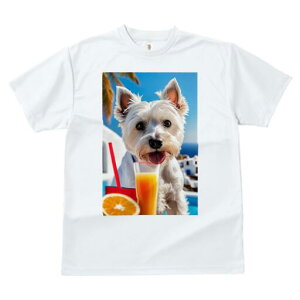 EGXgnChzCgeA TVc  j[NfUCfB[X t@  t vg lJWA 킢 lԗp Mtg I ҏ΍ IWW[X EG