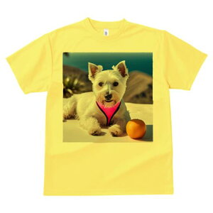 EGXgnChzCgeA TVc  j[NfUCfB[X t@  t vg lJWA 킢 lԗp Mtg I ҏ΍ IW EGXgnC