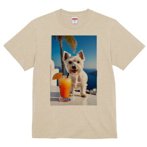 EGXgnChzCgeA TVc  j[NfUCY LbY t@  t vg lJWA 킢 lԗp Mtg I ҏ΍ JNe EGXg