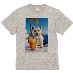 EGXgnChzCgeA TVc  j[NfUCfB[X t@  t vg lJWA 킢 lԗp Mtg I ҏ΍ JNe EGXgnC