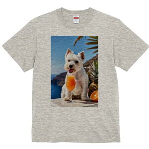 EGXgnChzCgeA TVc  j[NfUCfB[X t@  t vg lJWA 킢 lԗp Mtg I ҏ΍ W[X EGXgnC