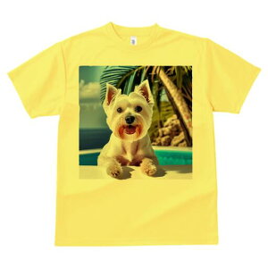 EGXgnChzCgeA TVc  j[NfUCfB[X t@  t vg lJWA 킢 lԗp Mtg I ҏ΍ V̖ EGXgnC