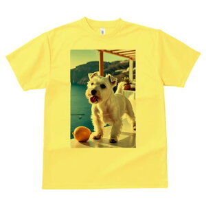 EGXgnChzCgeA TVc  j[NfUCfB[X t@  t vg lJWA 킢 lԗp Mtg I ҏ΍  EGXgnC