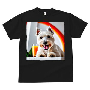 EGXgnChzCgeA TVc  j[NfUCfB[X t@  t vg lJWA 킢 lԗp Mtg I ҏ΍ W[X EGXgnC