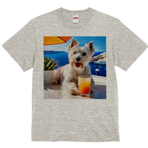 EGXgnChzCgeA TVc  j[NfUCfB[X t@  t vg lJWA 킢 lԗp Mtg I ҏ΍ ݕ EGXgnC