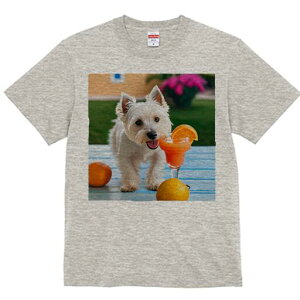 EGXgnChzCgeA TVc  j[NfUCY LbY t@  t vg lJWA 킢 lԗp Mtg I ҏ΍ IWW[X 