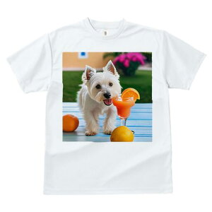 EGXgnChzCgeA TVc  j[NfUCfB[X t@  t vg lJWA 킢 lԗp Mtg I ҏ΍ IWW[X EG