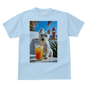 EGXgnChzCgeA TVc  j[NfUCfB[X t@  t vg lJWA 킢 lԗp Mtg I ҏ΍ W[X EGXgnC