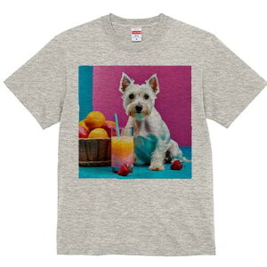 EGXgnChzCgeA TVc  j[NfUCfB[X t@  t vg lJWA 킢 lԗp Mtg I ҏ΍ W[X EGXgnC