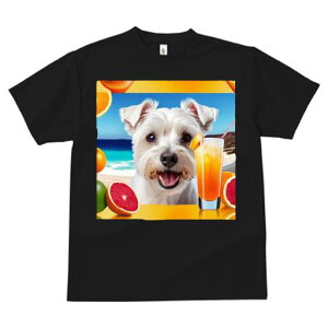 }`[Y TVc  j[NfUCfB[X t@  t vg lJWA 킢 lԗp Mtg I ҏ΍ W[X }`[Y IW r[`