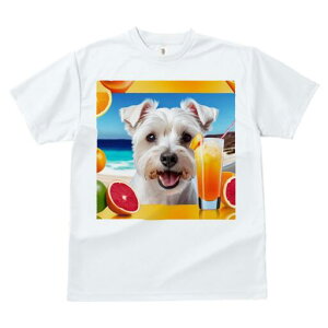 }`[Y TVc  j[NfUCfB[X t@  t vg lJWA 킢 lԗp Mtg I ҏ΍ W[X }`[Y IW r[`