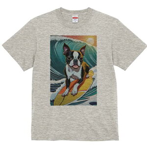 {XgeA TVc  j[NfUCfB[X t@  t vg lJWA 킢 lԗp Mtg I ҏ΍ g {XgeA T[tB z