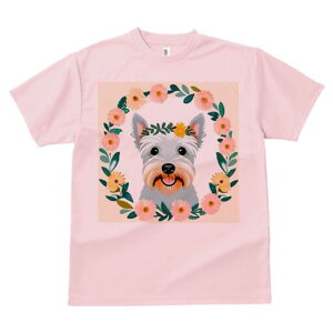 EGXgnChzCgeA TVc  j[NfUCfB[X t@  t vg lJWA 킢 lԗp Mtg I ҏ΍  EGXgnCh