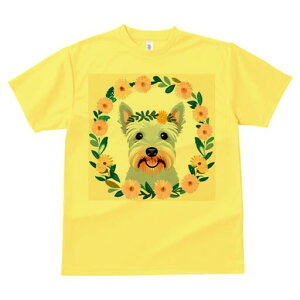 EGXgnChzCgeA TVc  j[NfUCfB[X t@  t vg lJWA 킢 lԗp Mtg I ҏ΍  EGXgnCh