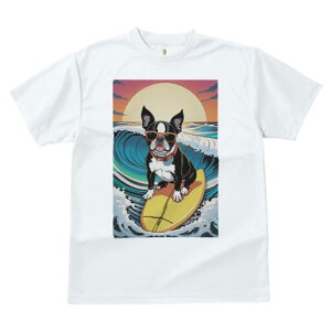 {XgeA TVc  j[NfUCfB[X t@  t vg lJWA 킢 lԗp Mtg I ҏ΍ g {XgeA C T[tB TO