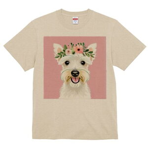 EGXgnChzCgeA TVc  j[NfUCfB[X t@  t vg lJWA 킢 lԗp Mtg I ҏ΍  EGXgnCh