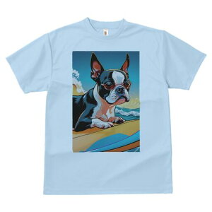 {XgeA TVc  j[NfUCfB[X t@  t vg lJWA 킢 lԗp Mtg I ҏ΍ T[tB {XgeA C g TO